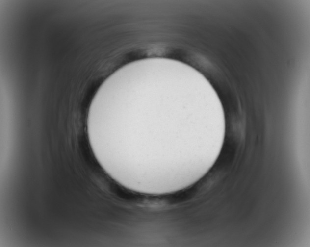 X0000085310311200703302028