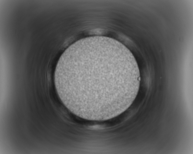 X0000085310312200703302028