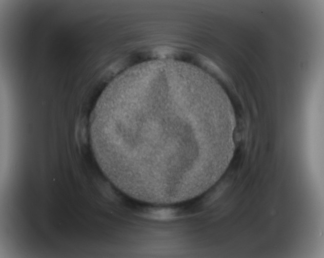 X0000085310313200703302028