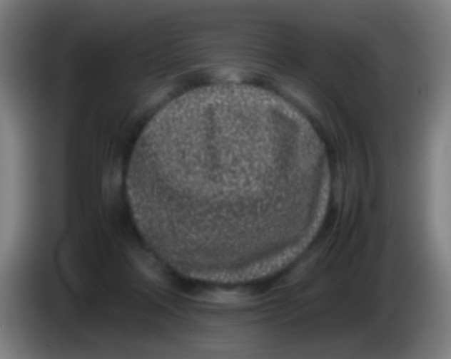 X0000085310314200703302028