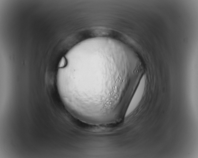 X0000085310315200703302028