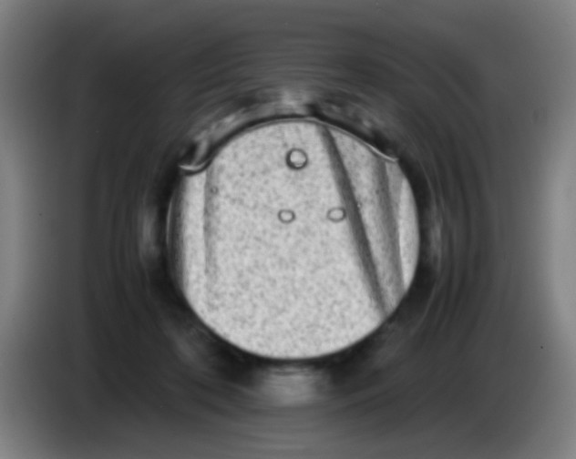 X0000085310316200703302028