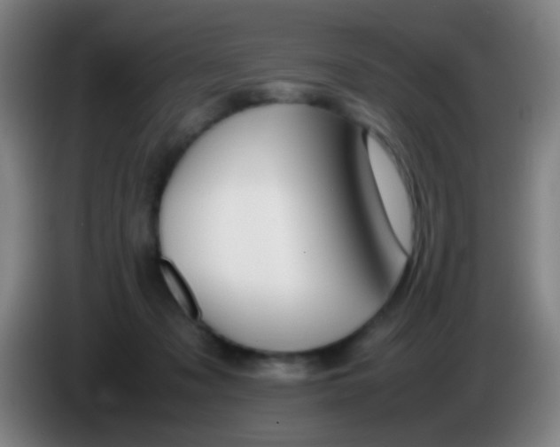 X0000085310317200703302028