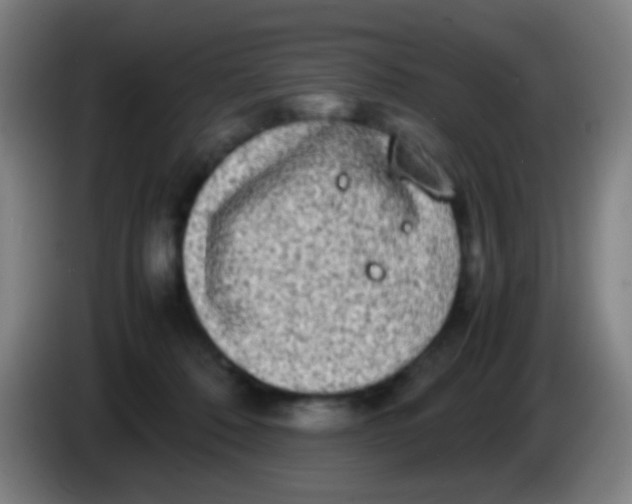 X0000085310320200703302028