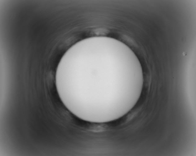 X0000085310321200703302028