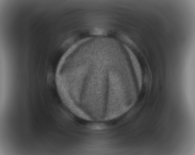 X0000085310322200703302028