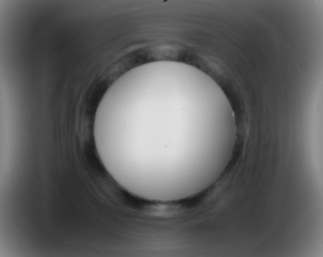 X0000085310323200703302028