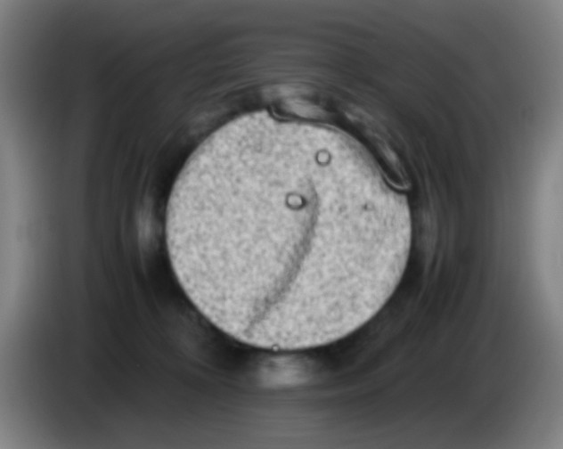 X0000085310324200703302028