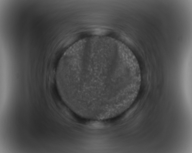 X0000085310325200703302028