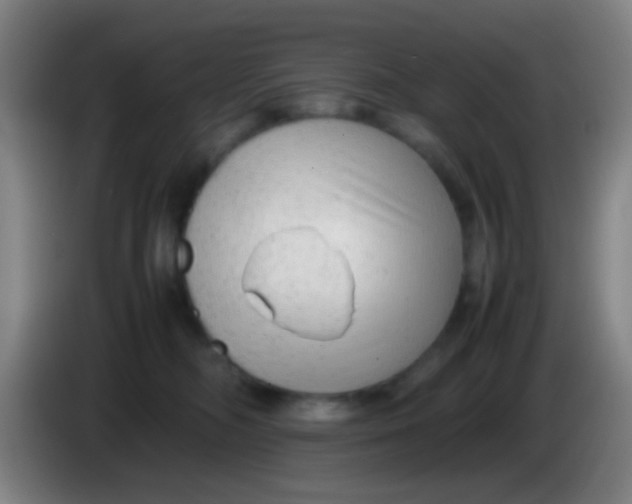 X0000085310326200703302028