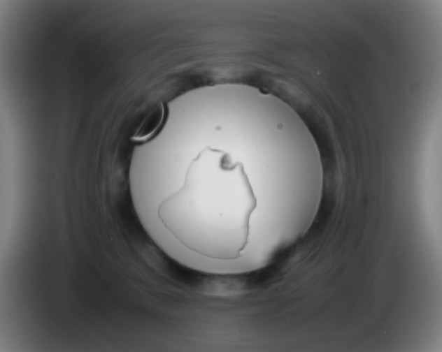 X0000085310327200703302028