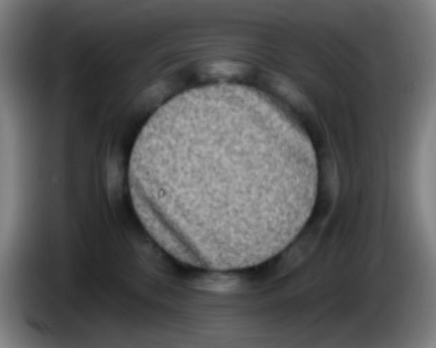 X0000085310328200703302028