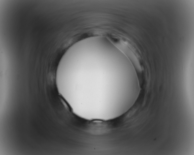 X0000085310329200703302028