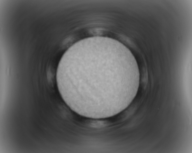 X0000085310332200703302028