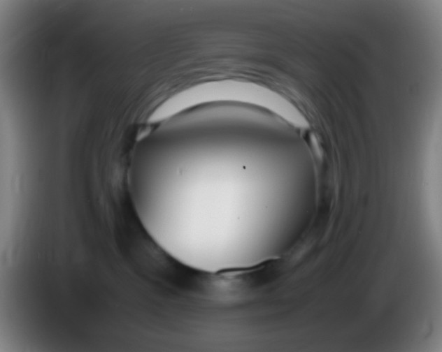 X0000085310333200703302028