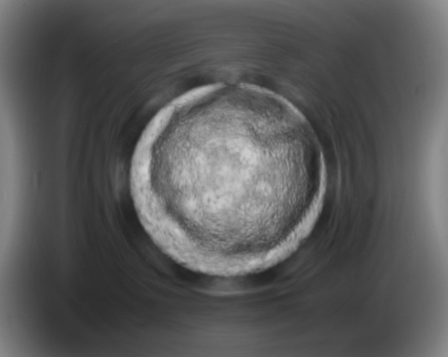 X0000085310335200703302028