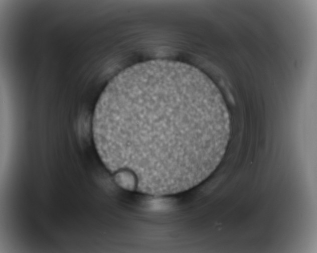 X0000085310336200703302028