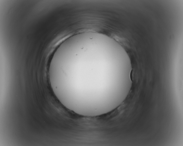 X0000085310338200703302027