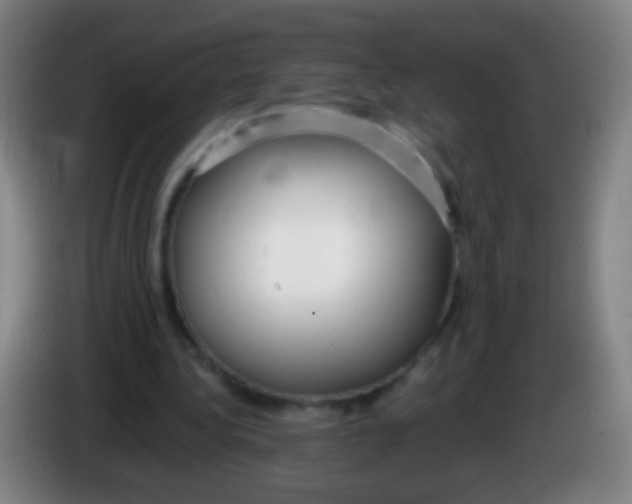 X0000085310340200703302027