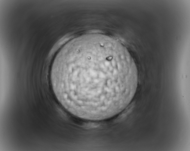 X0000085310341200703302027