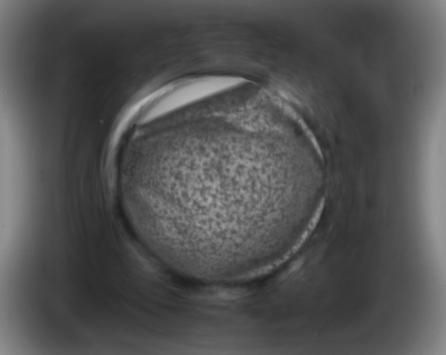 X0000085310343200703302027