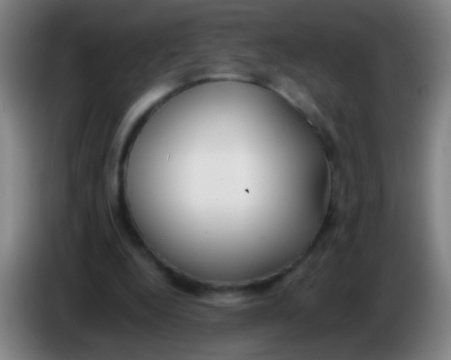 X0000085310344200703302027