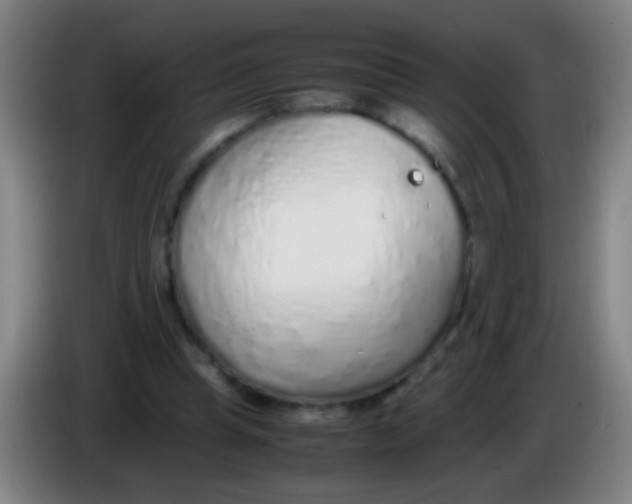 X0000085310345200703302027