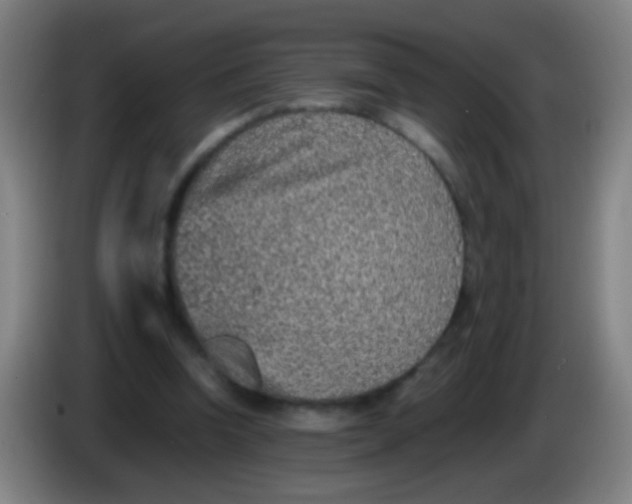 X0000085310346200703302027