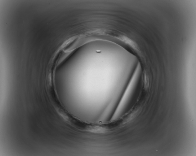 X0000085310348200703302027