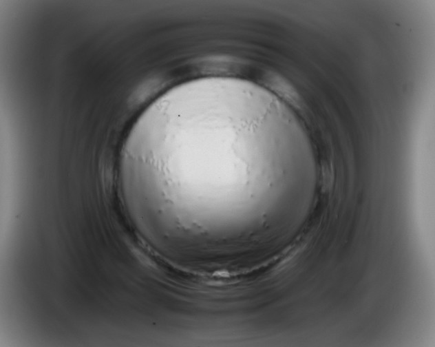 X0000085310349200703302027