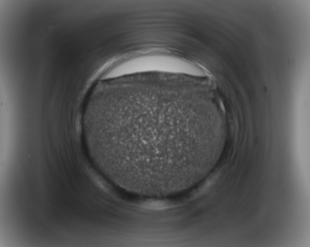 X0000085310350200703302027