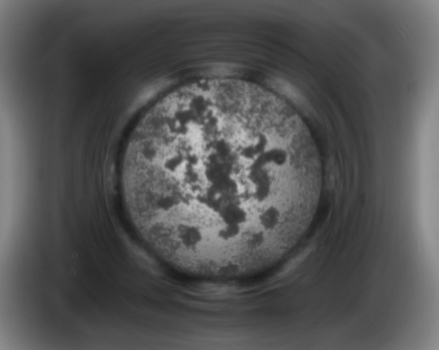 X0000085310351200703302027