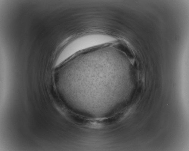 X0000085310352200703302027