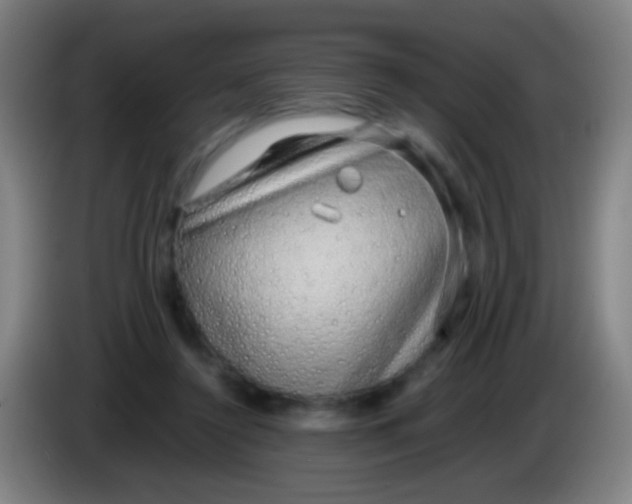 X0000085310356200703302027