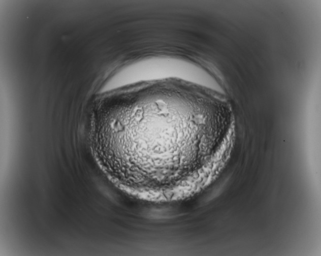 X0000085310357200703302027