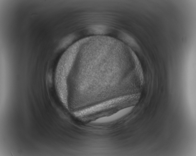 X0000085310358200703302027