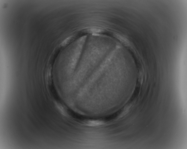 X0000085310360200703302027