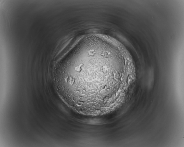 X0000085310361200703302027