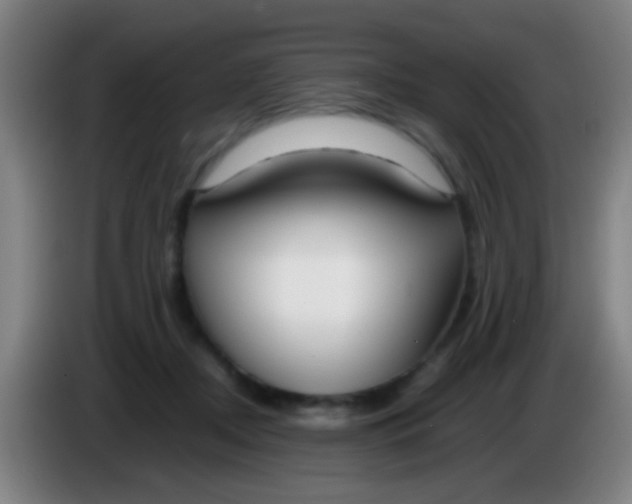 X0000085310362200703302027