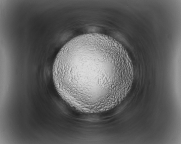 X0000085310363200703302028