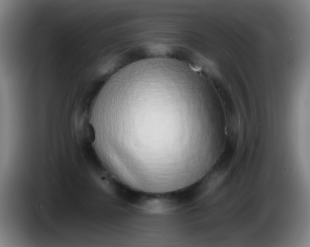 X0000085310364200703302028