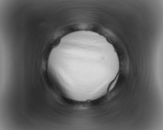 X0000085310368200703302028