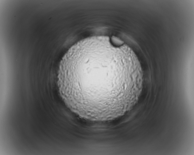 X0000085310369200703302028