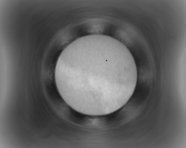 X0000085310370200703302028