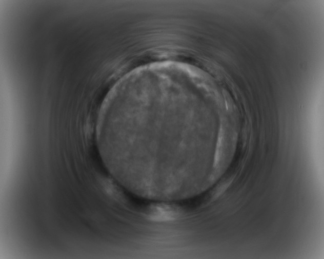 X0000085310372200703302028