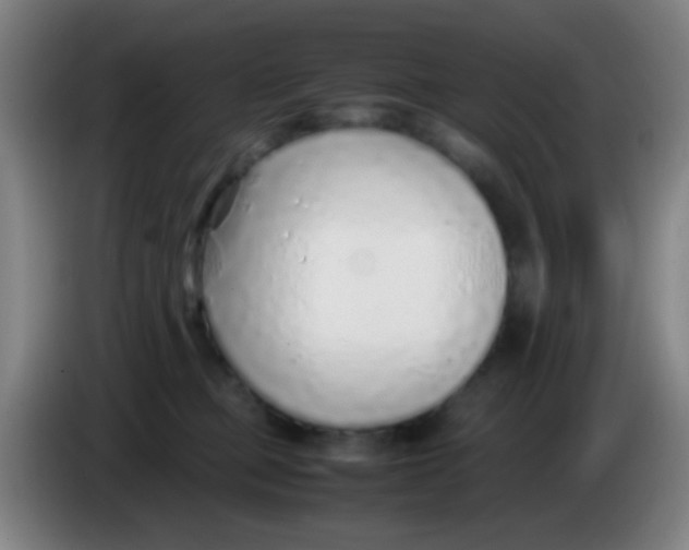 X0000085310373200703302028