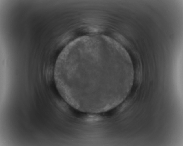 X0000085310376200703302028