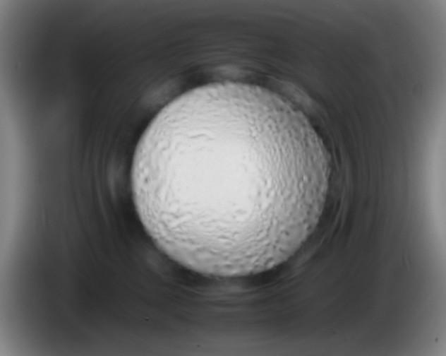 X0000085310377200703302028