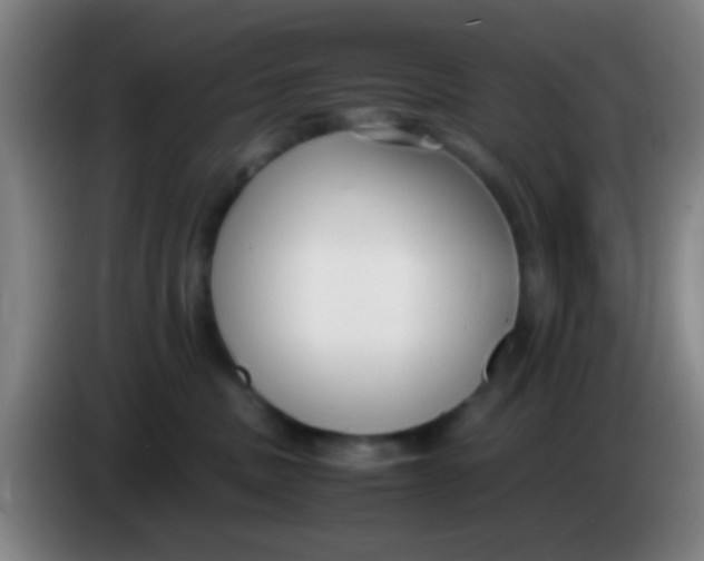 X0000085310379200703302028