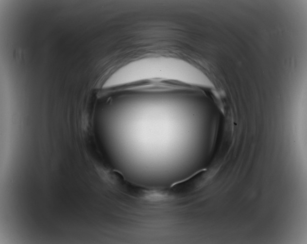 X0000085310380200703302028